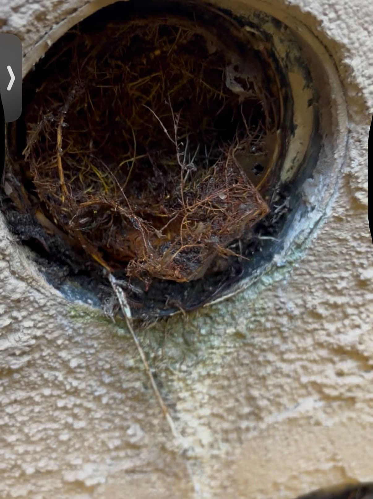 Project Severe Main Line Backup Cleared with Hydro Jetting in Huntington Beach image