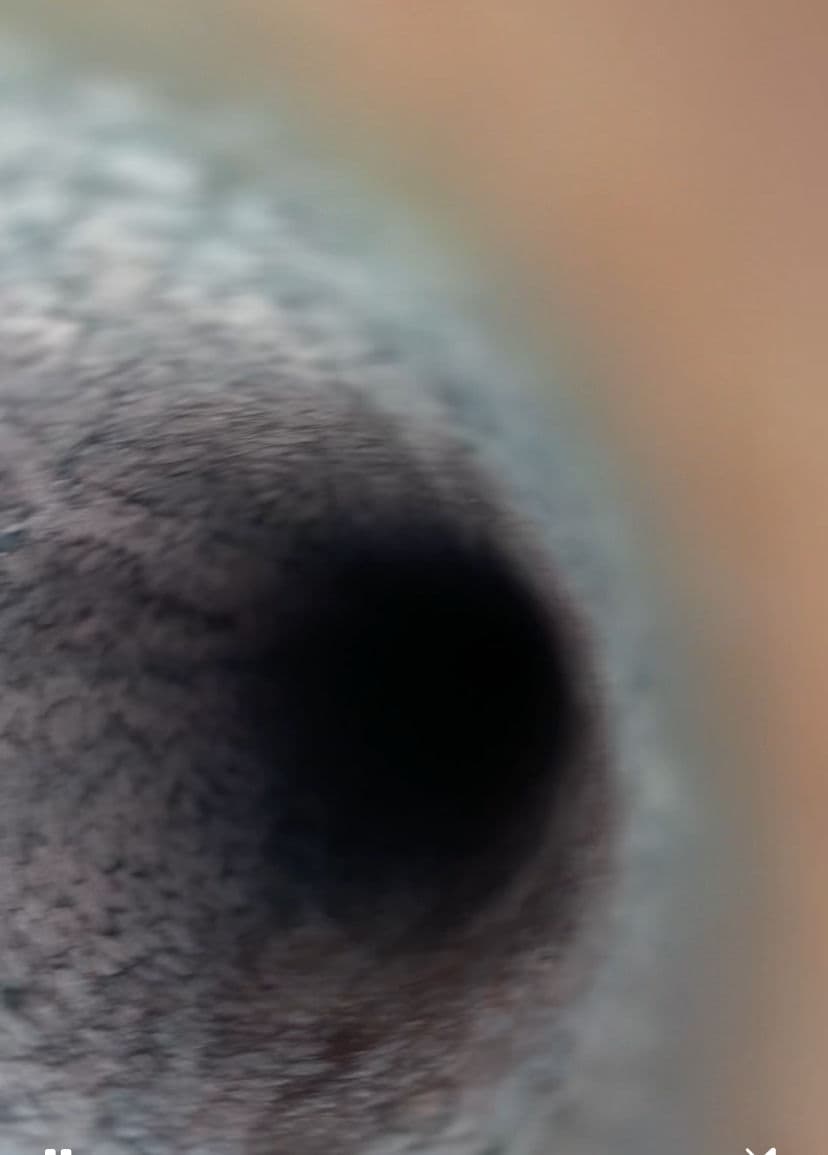 Project Sewer Odor Investigation and Vent Stack Diagnosis in Hawthorne, CA image