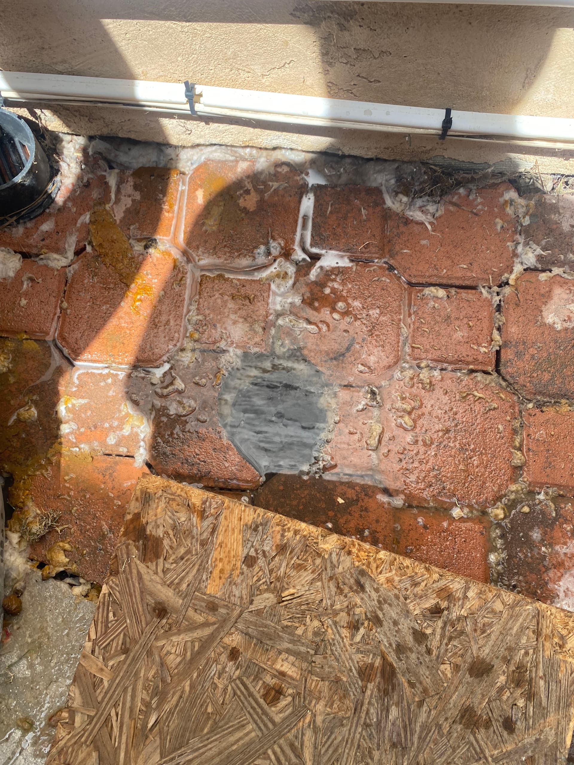 Gallery photos for Full Main Sewer Line Stoppage Cleared in Huntington Beach: Image #1