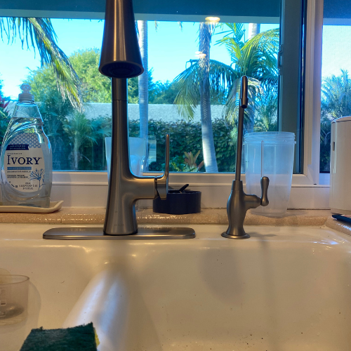Modern kitchen faucet and soap dispenser with tropical garden view in background, emphasizing plumbing aesthetics and functionality.